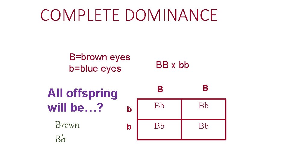 COMPLETE DOMINANCE B=brown eyes b=blue eyes All offspring will be…? Brown Bb BB x