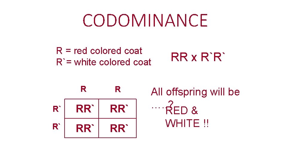 CODOMINANCE R = red colored coat R`= white colored coat R R R` RR`
