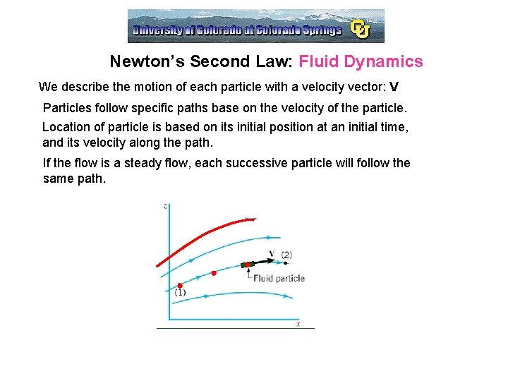 Newton’s Second Law: Fluid Dynamics We describe the motion of each particle with a