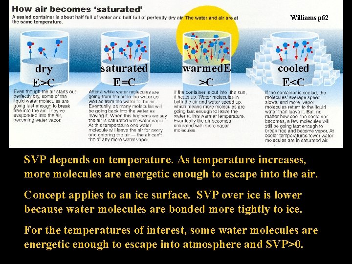 Williams p 62 dry E>C saturated E=C warmed. E >C cooled E<C SVP depends