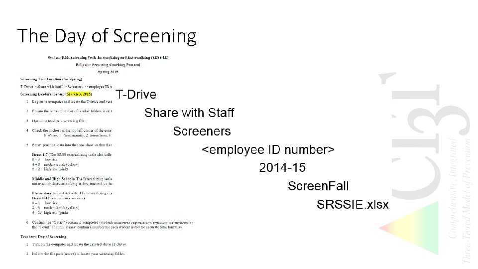 The Day of Screening 