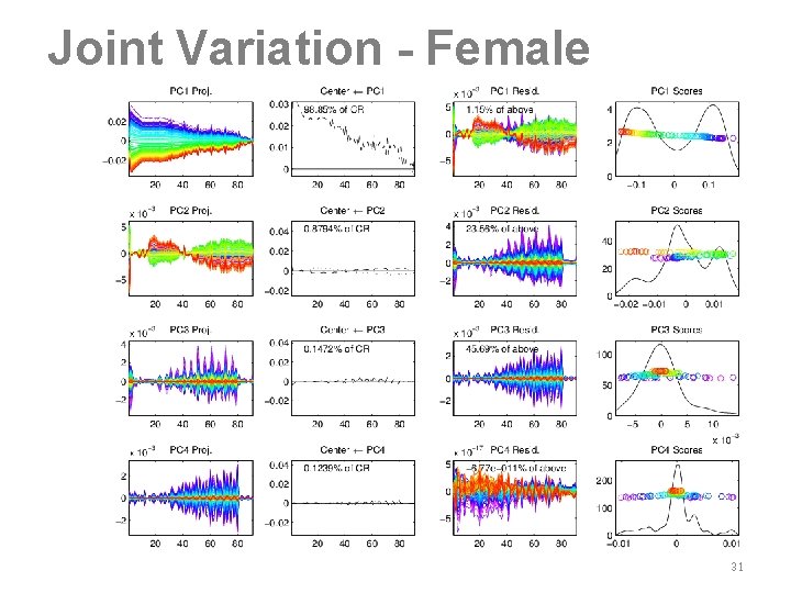 Joint Variation - Female 31 