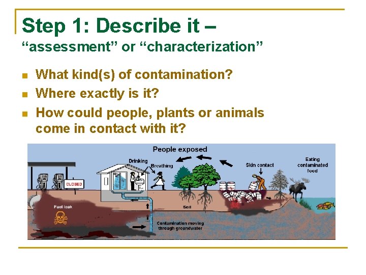 Step 1: Describe it – “assessment” or “characterization” n n n What kind(s) of