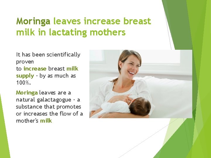 Moringa leaves increase breast milk in lactating mothers It has been scientifically proven to