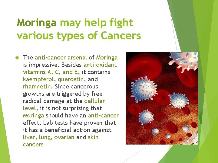 Moringa may help fight various types of Cancers The anti-cancer arsenal of Moringa is