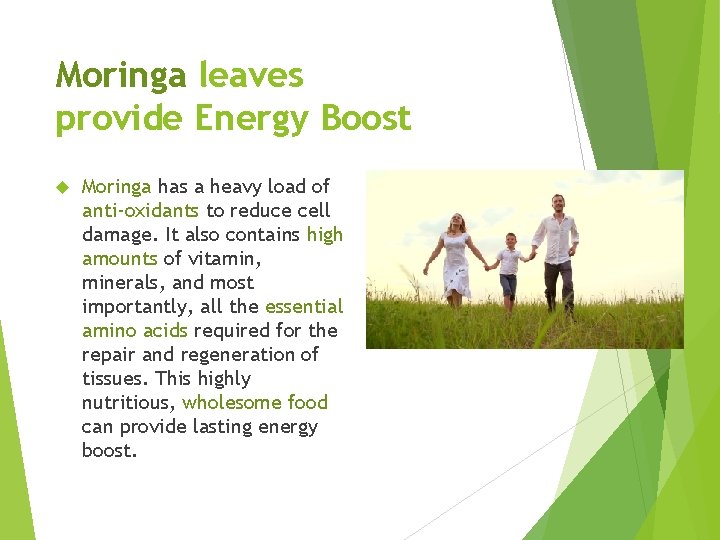 Moringa leaves provide Energy Boost Moringa has a heavy load of anti-oxidants to reduce