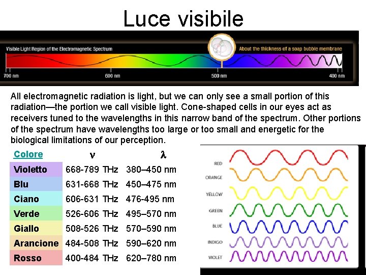 Luce visibile All electromagnetic radiation is light, but we can only see a small