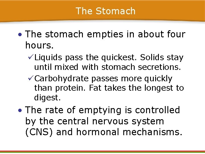 The Stomach • The stomach empties in about four hours. üLiquids pass the quickest. The Stomach • The stomach empties in about four hours. üLiquids pass the quickest.