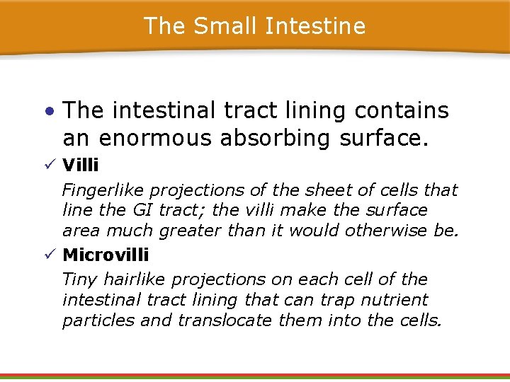 The Small Intestine • The intestinal tract lining contains an enormous absorbing surface. ü The Small Intestine • The intestinal tract lining contains an enormous absorbing surface. ü