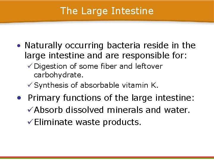 The Large Intestine • Naturally occurring bacteria reside in the large intestine and are The Large Intestine • Naturally occurring bacteria reside in the large intestine and are