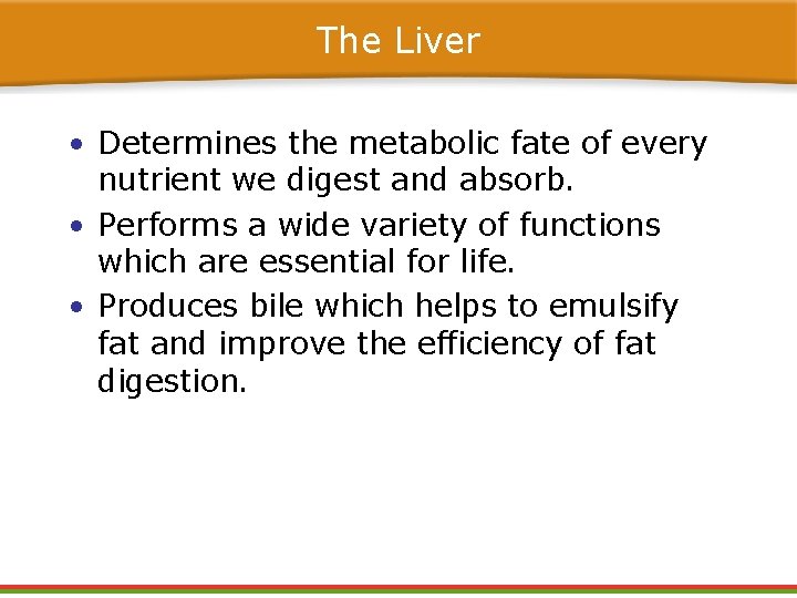 The Liver • Determines the metabolic fate of every nutrient we digest and absorb. The Liver • Determines the metabolic fate of every nutrient we digest and absorb.