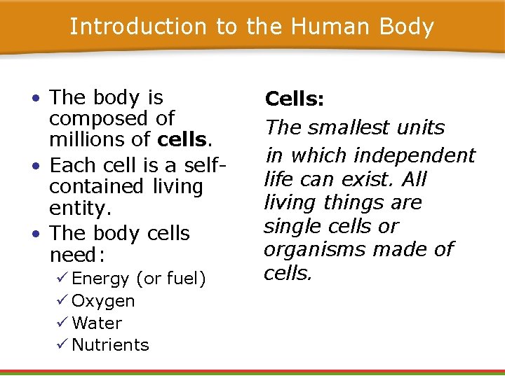Introduction to the Human Body • The body is composed of millions of cells. Introduction to the Human Body • The body is composed of millions of cells.
