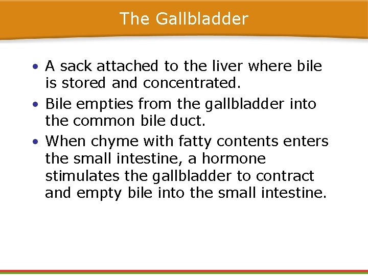 The Gallbladder • A sack attached to the liver where bile is stored and The Gallbladder • A sack attached to the liver where bile is stored and