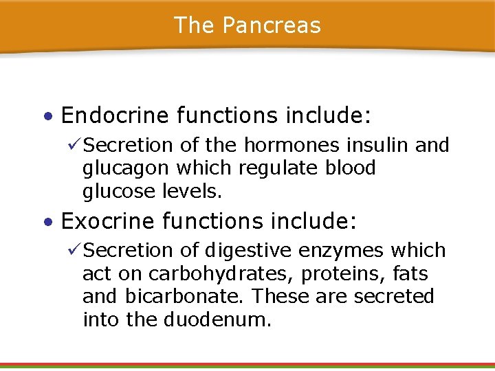 The Pancreas • Endocrine functions include: üSecretion of the hormones insulin and glucagon which The Pancreas • Endocrine functions include: üSecretion of the hormones insulin and glucagon which