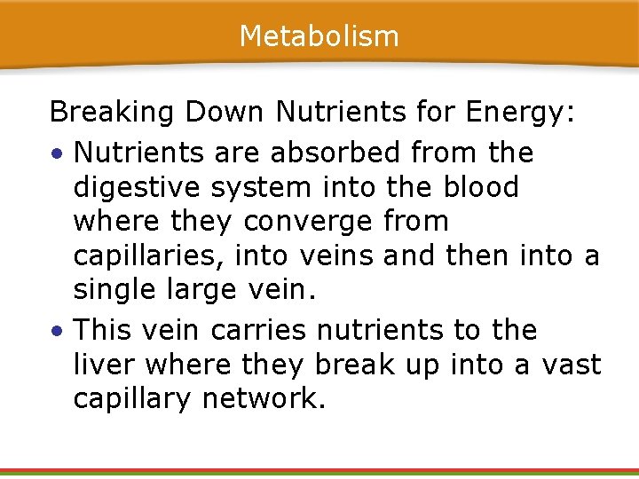 Metabolism Breaking Down Nutrients for Energy: • Nutrients are absorbed from the digestive system Metabolism Breaking Down Nutrients for Energy: • Nutrients are absorbed from the digestive system