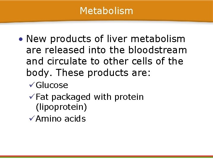 Metabolism • New products of liver metabolism are released into the bloodstream and circulate Metabolism • New products of liver metabolism are released into the bloodstream and circulate
