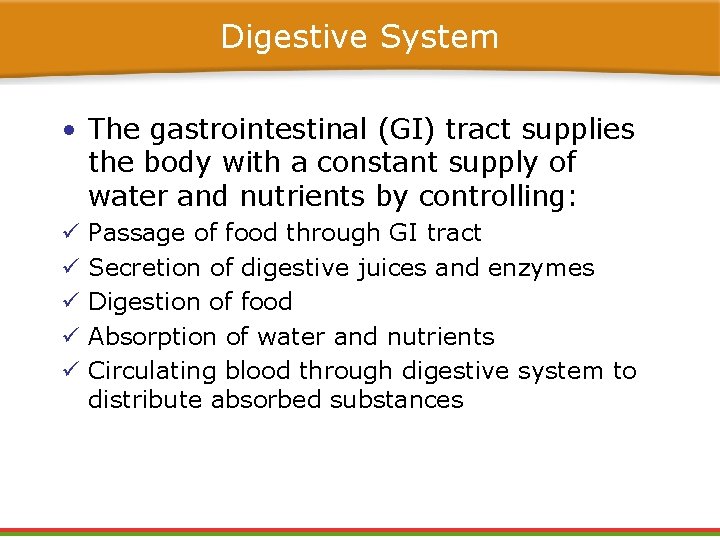Digestive System • The gastrointestinal (GI) tract supplies the body with a constant supply Digestive System • The gastrointestinal (GI) tract supplies the body with a constant supply