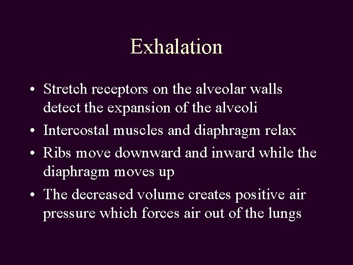 Exhalation • Stretch receptors on the alveolar walls detect the expansion of the alveoli