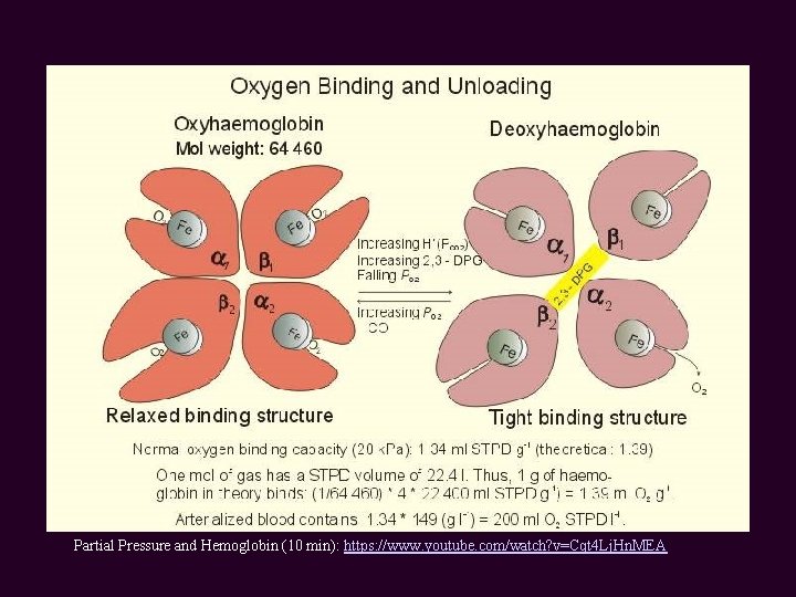 Partial Pressure and Hemoglobin (10 min): https: //www. youtube. com/watch? v=Cqt 4 Lj. Hn.