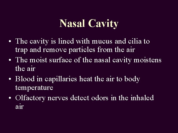 Nasal Cavity • The cavity is lined with mucus and cilia to trap and