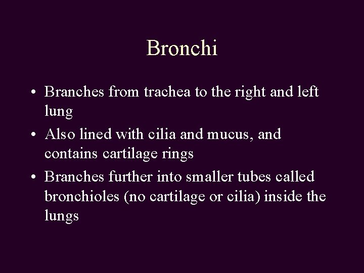 Bronchi • Branches from trachea to the right and left lung • Also lined