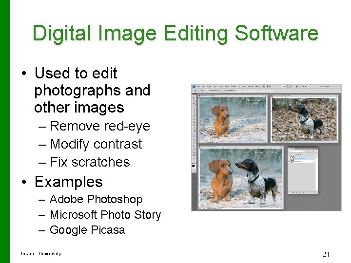 Digital Image Editing Software • Used to edit photographs and other images – Remove