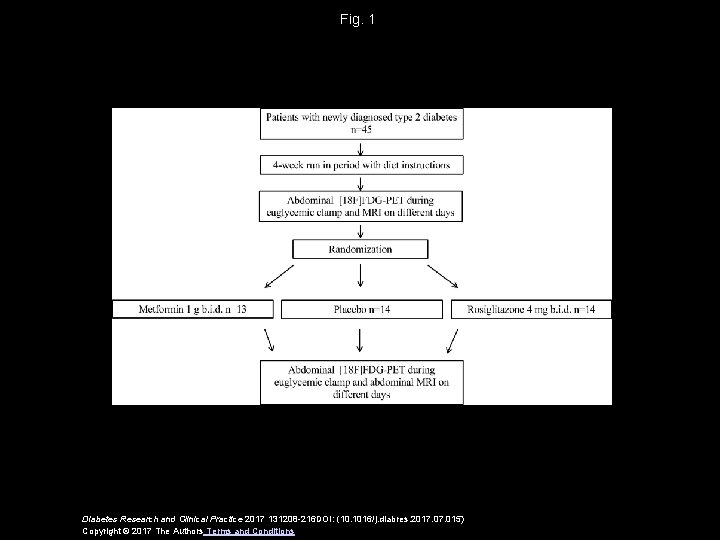 Fig. 1 Diabetes Research and Clinical Practice 2017 131208 -216 DOI: (10. 1016/j. diabres.