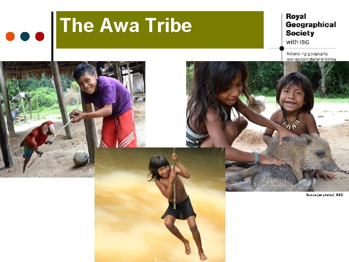 The Awa Tribe Source (all photos): BBC The Awa Tribe Source (all photos): BBC