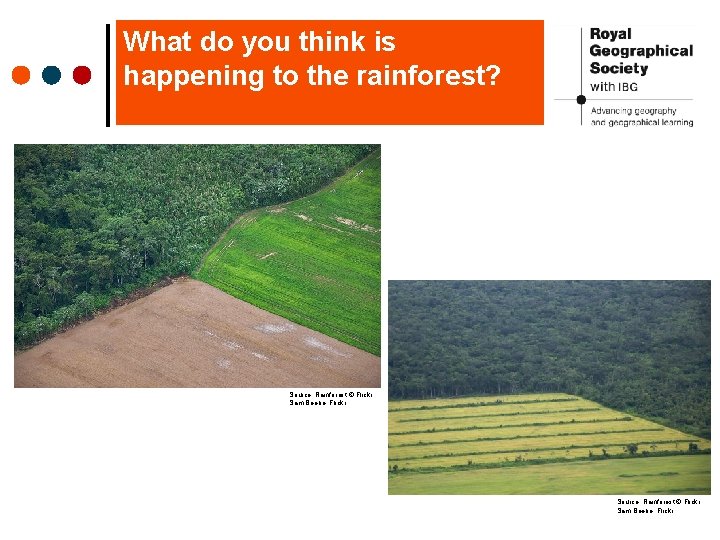 What do you think is happening to the rainforest? Source: Rainforest © Flickr Sam What do you think is happening to the rainforest? Source: Rainforest © Flickr Sam