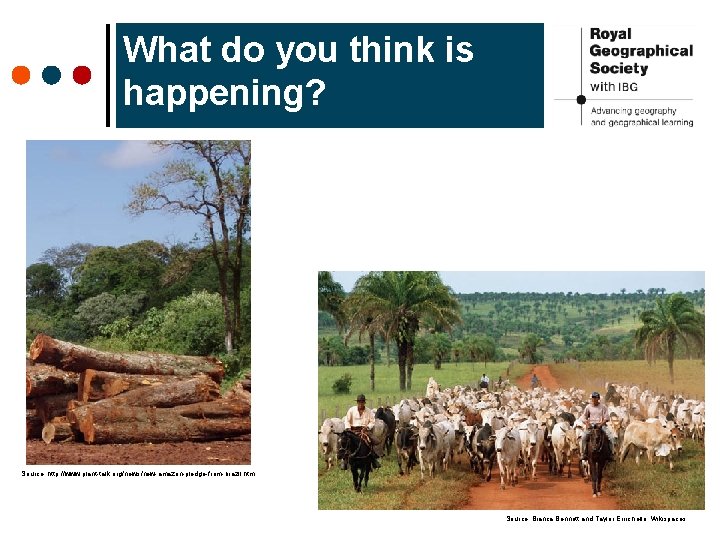 What do you think is happening? Source: http: //www. plant-talk. org/news/new-amazon-pledge-from-brazil. htm Source: Bianca What do you think is happening? Source: http: //www. plant-talk. org/news/new-amazon-pledge-from-brazil. htm Source: Bianca