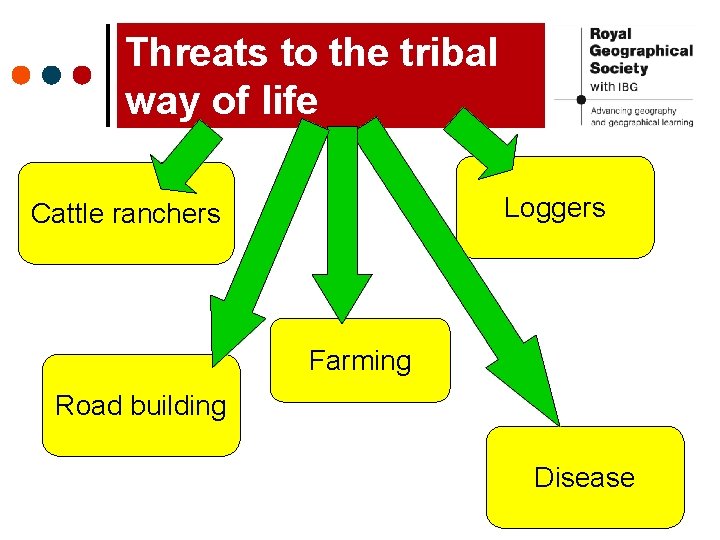 Threats to the tribal way of life Loggers Cattle ranchers Farming Road building Disease Threats to the tribal way of life Loggers Cattle ranchers Farming Road building Disease