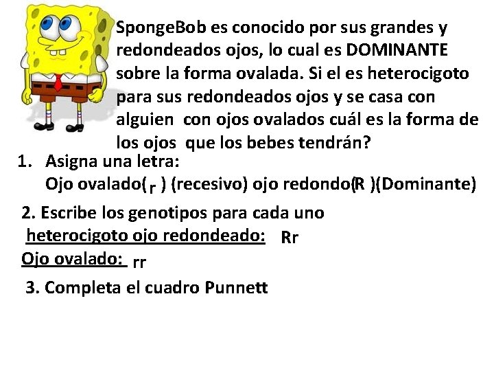 Sponge. Bob es conocido por sus grandes y redondeados ojos, lo cual es DOMINANTE