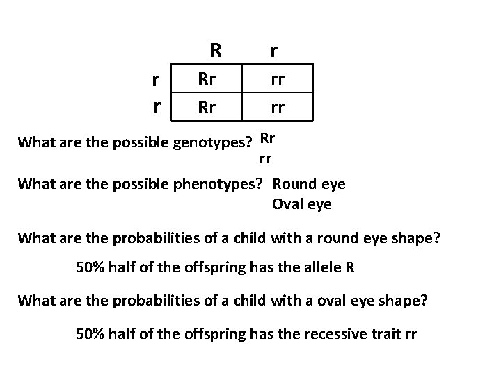 R r r Rr Rr r rr rr What are the possible genotypes? Rr