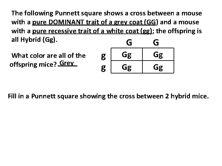 The following Punnett square shows a cross between a mouse with a pure DOMINANT