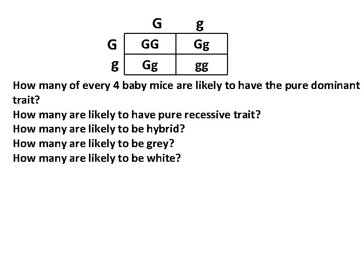 G G g GG Gg gg How many of every 4 baby mice are