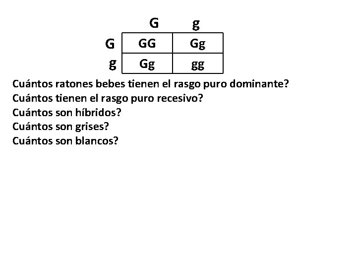 G G g GG Gg gg Cuántos ratones bebes tienen el rasgo puro dominante?