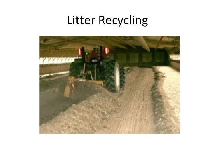 Production Control Littering Chicken Industry Programs to Prevent Water Pollution Bill