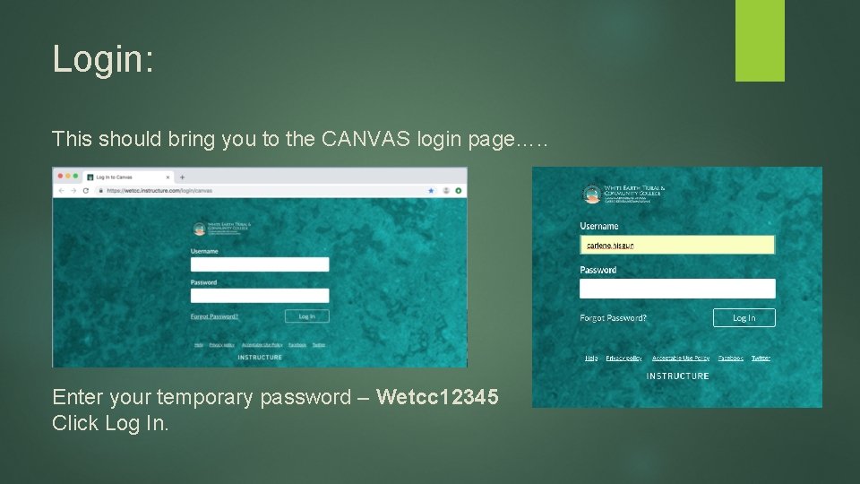 Login: This should bring you to the CANVAS login page…. . Enter your temporary