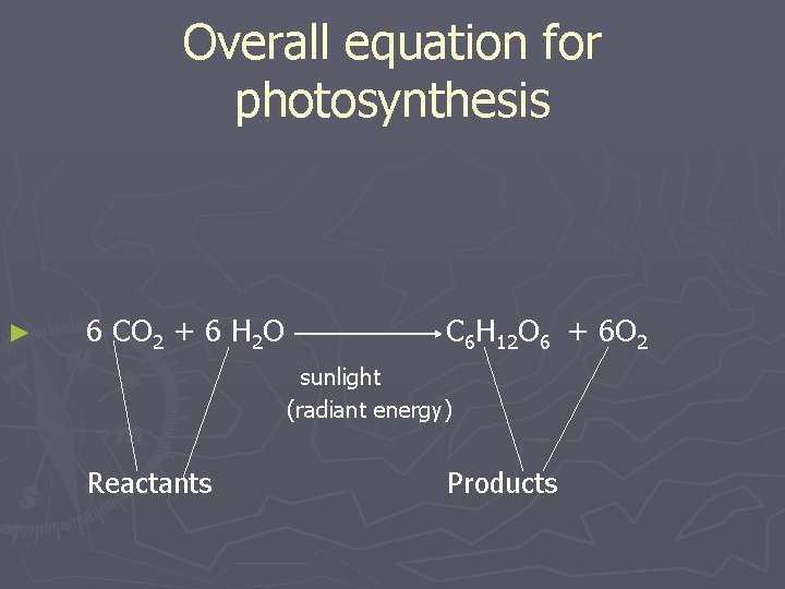 Which Is The Word Equation For Photosynthesis Brainly Tessshebaylo