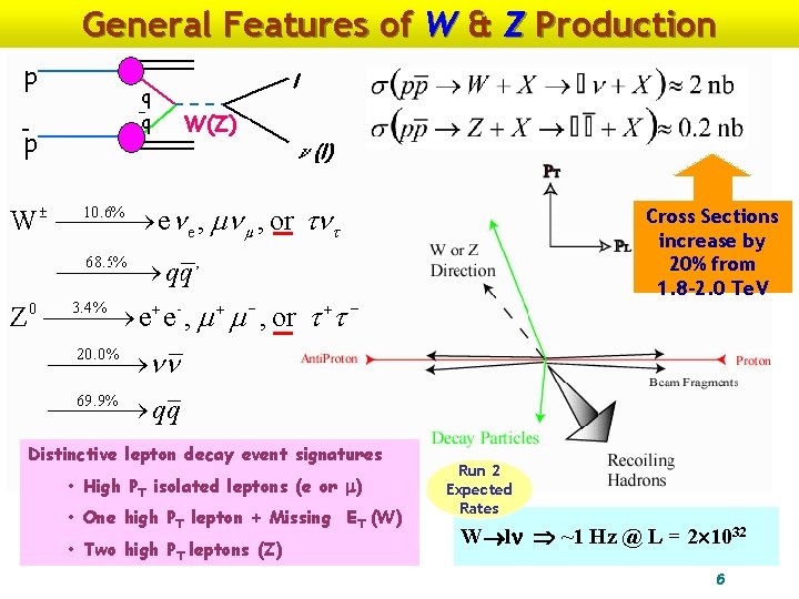 General Features of W & Z Production Cross Sections increase by 20% from 1.