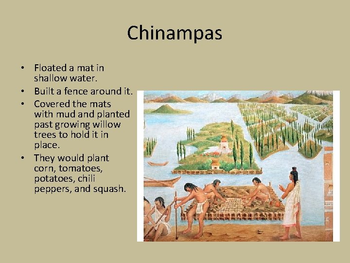 Chinampas • Floated a mat in shallow water. • Built a fence around it. Chinampas • Floated a mat in shallow water. • Built a fence around it.
