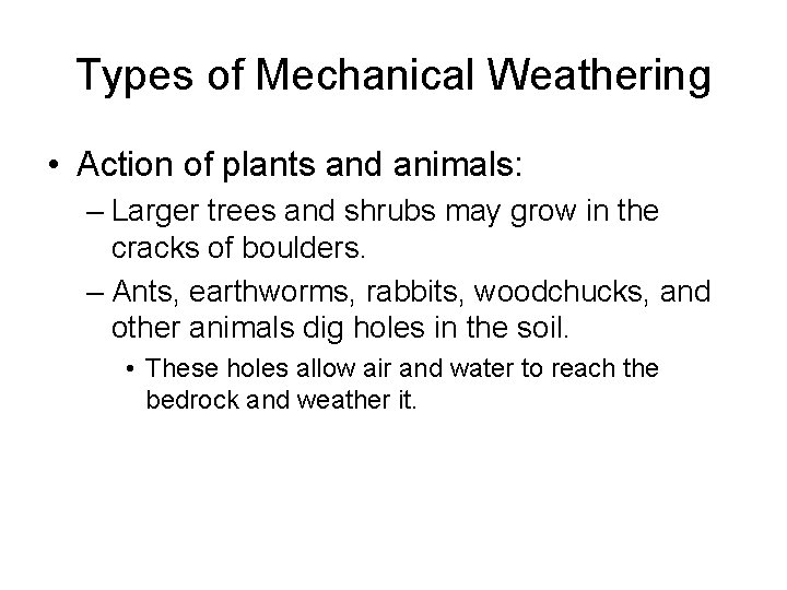 Types of Mechanical Weathering • Action of plants and animals: – Larger trees and