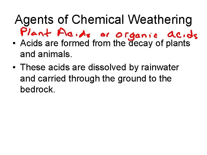 Agents of Chemical Weathering • Acids are formed from the decay of plants and