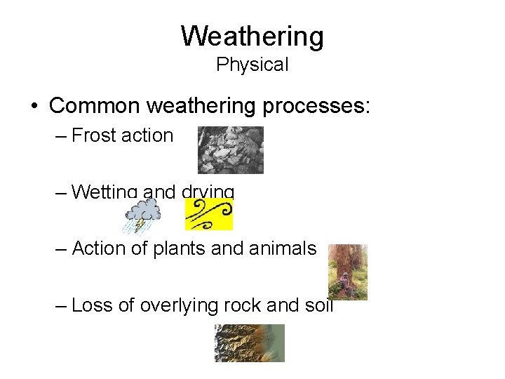 Weathering Physical • Common weathering processes: – Frost action – Wetting and drying –