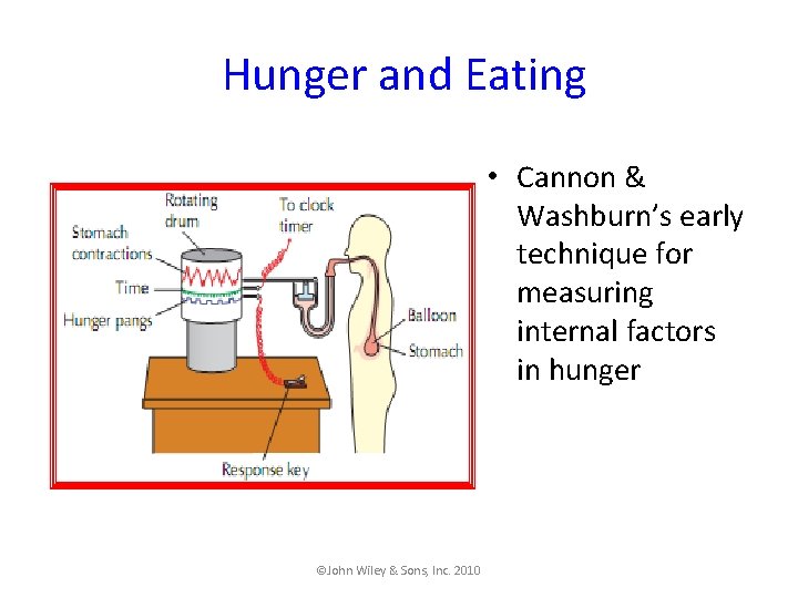 Hunger and Eating • Cannon & Washburn’s early technique for measuring internal factors in