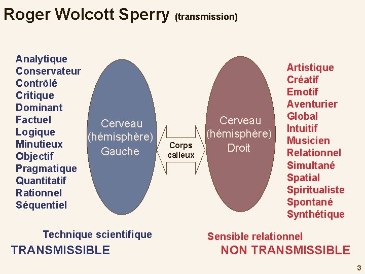 Roger Wolcott Sperry (transmission) Analytique Conservateur Contrôlé Critique Dominant Factuel Cerveau Logique (hémisphère) Minutieux