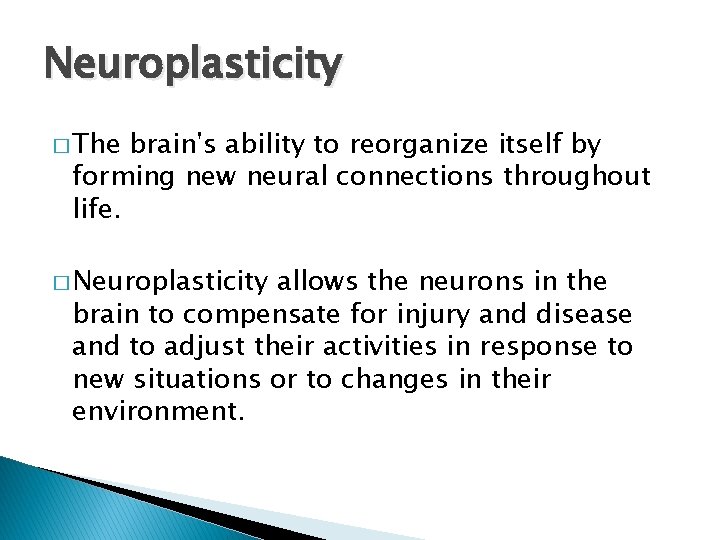 Neuroplasticity � The brain's ability to reorganize itself by forming new neural connections throughout Neuroplasticity � The brain's ability to reorganize itself by forming new neural connections throughout