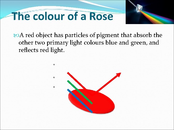 The colour of a Rose A red object has particles of pigment that absorb