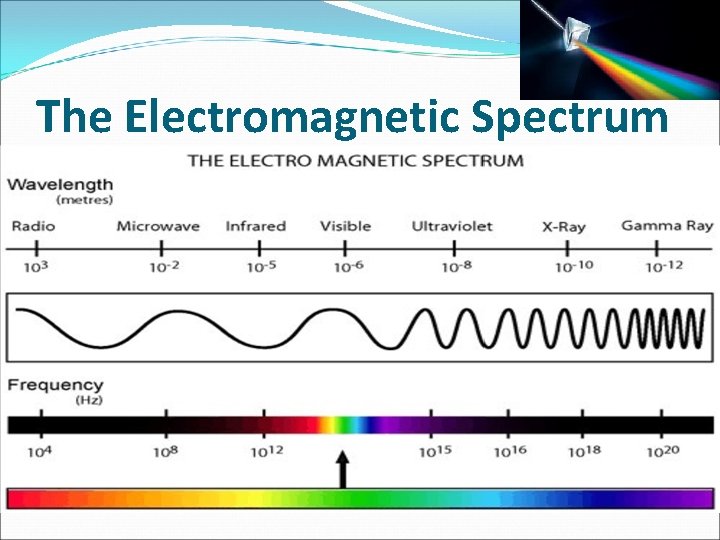 The Electromagnetic Spectrum 