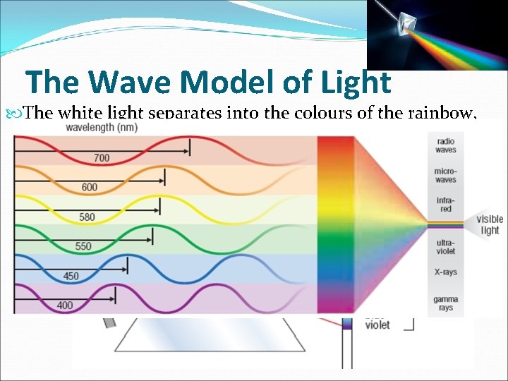 The Wave Model of Light The white light separates into the colours of the The Wave Model of Light The white light separates into the colours of the